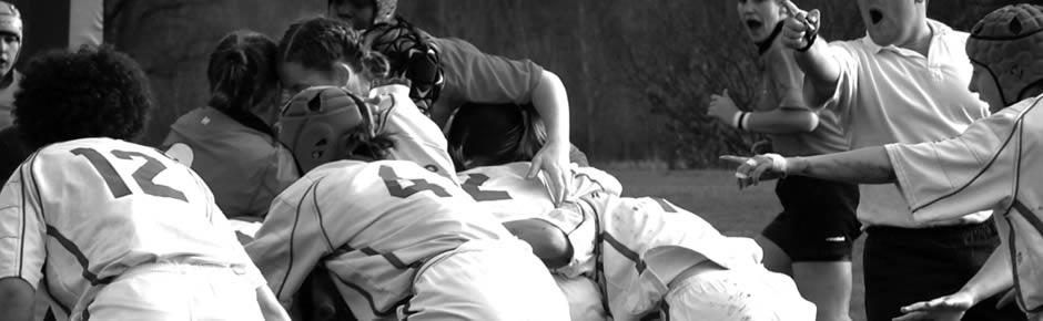 系统优化软件的ddos攻击